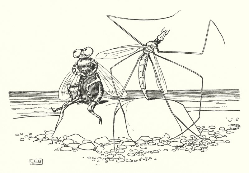 Il Papà Gambalunga e la Mosca da Leonard Leslie Brooke