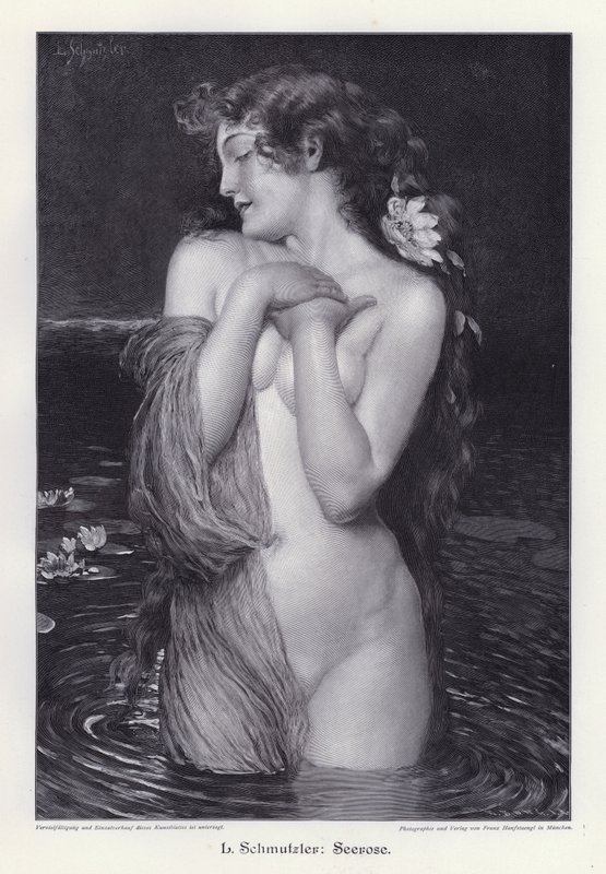 Ninfea da Leopold Schmutzler