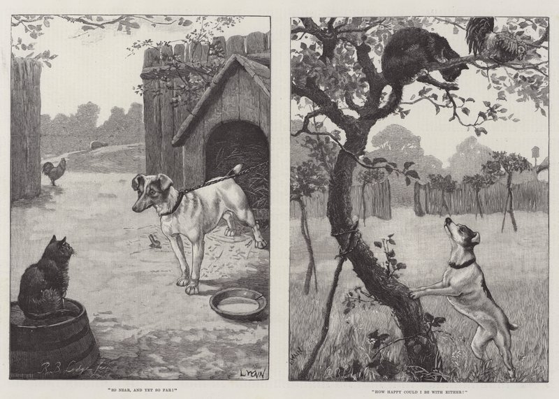 Gatti e cani da Louis Wain