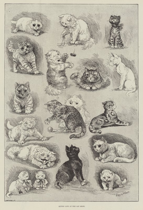 Vita da gattino alla Mostra Felina da Louis Wain
