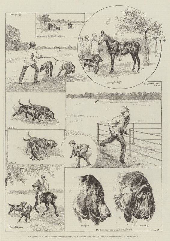 Sir Charles Warren, Capo Commissario della Polizia Metropolitana, prova i Bloodhounds a Hyde Park da Louis Wain