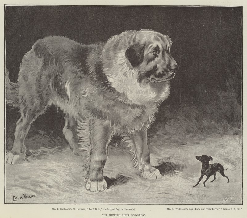 La mostra canina del Kennel Club da Louis Wain