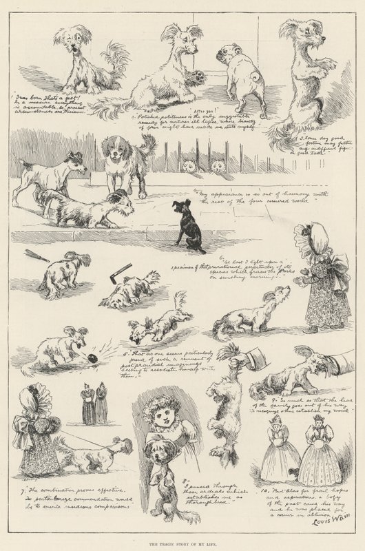 La tragica storia della mia vita da Louis Wain