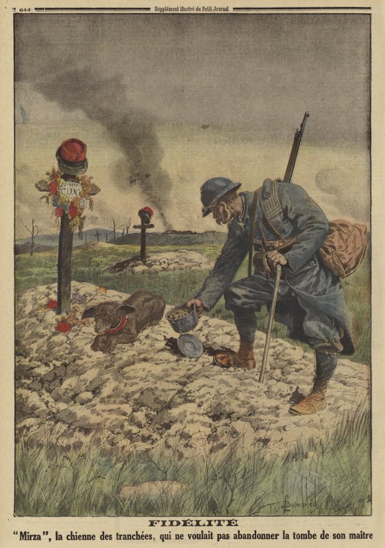 Fedeltà: cane dell