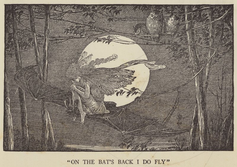 Sulla schiena dei pipistrelli volo da Louis John Rhead