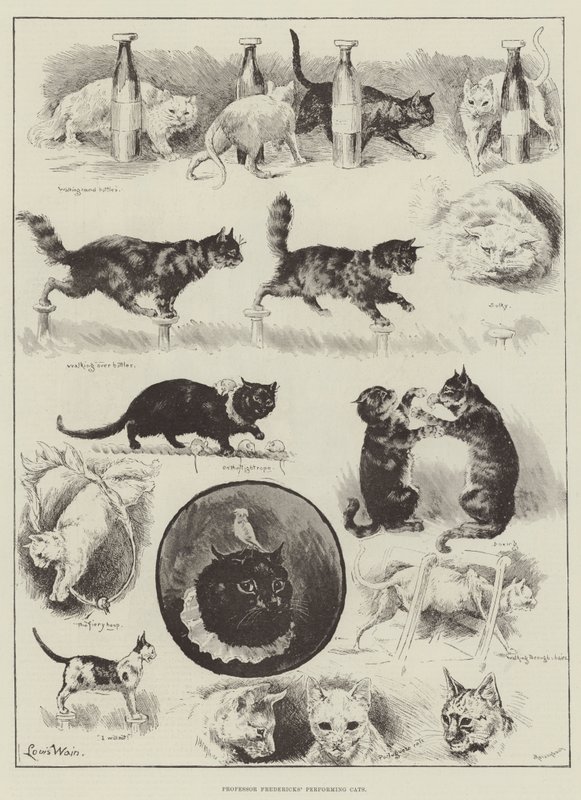 I gatti performanti del professor Fredericks da Louis Wain