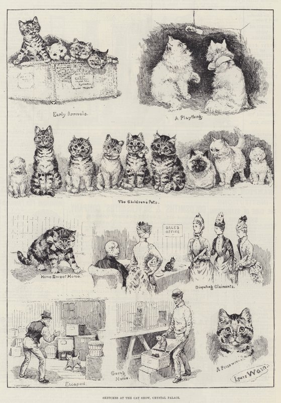 Schizzi alla mostra felina, Crystal Palace da Louis Wain