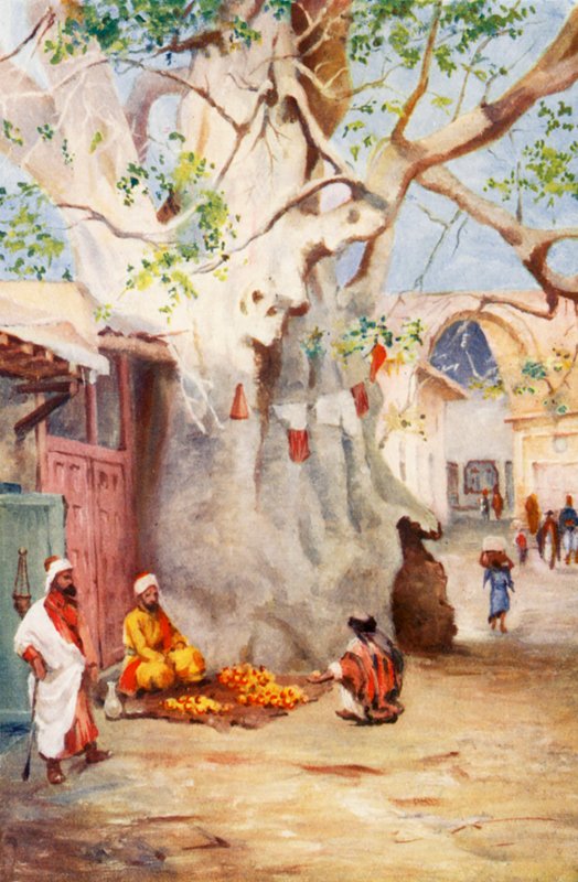 Grande piantaggine nel bazar, Damasco da Margaret Thomas