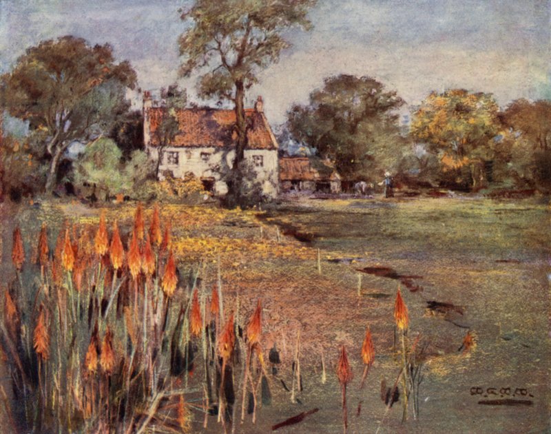 Giardini Scozzesi: Vivaio di Cocker, Aberdeen da Mary Georgina Wade Wilson