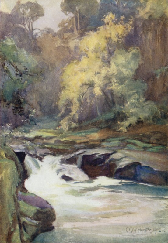 Il salto di Wallace, vicino a Lanark da Mary Young Hunter