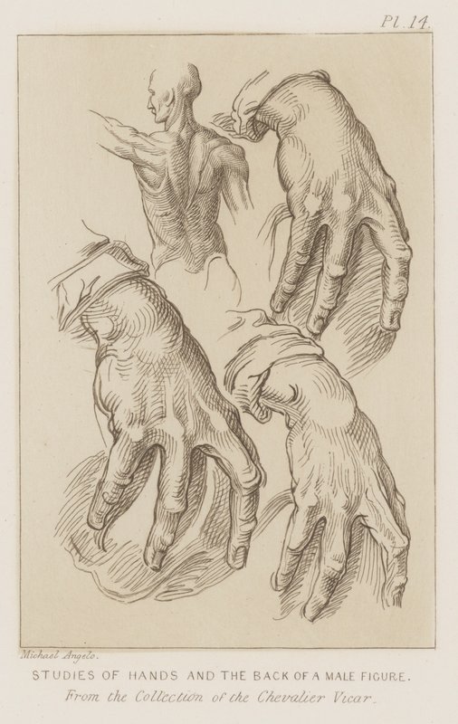 Studi di mani e schiena di una figura maschile da Michelangelo (after) Buonarroti