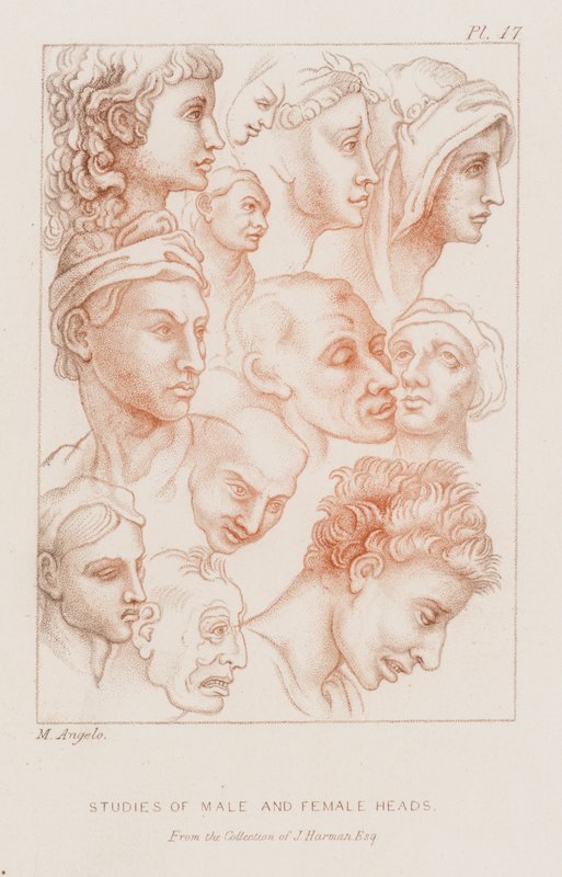 Studi di teste maschili e femminili (incisione) da Michelangelo (after) Buonarroti