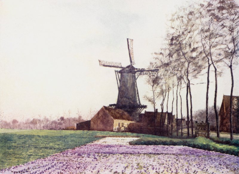 La promessa della primavera da Mima Nixon