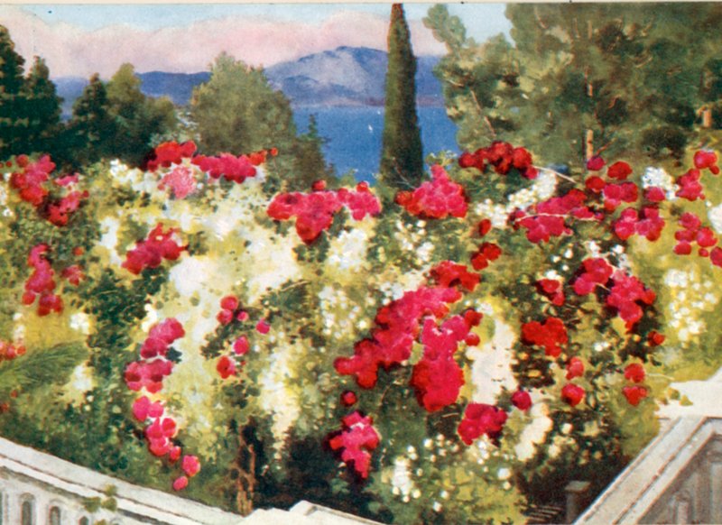 La Pergola delle Rose, l