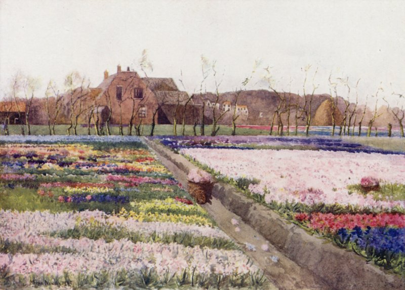 "Quando la primavera sblocca i fiori per dipingere il suolo ridente" da Mima Nixon