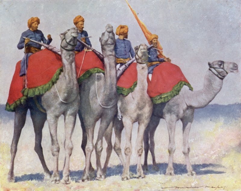 Cammelleria di Alwar da Mortimer Ludington Menpes