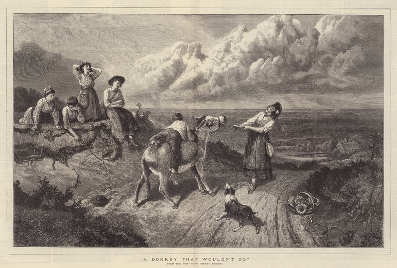 Un asino che non voleva andare da Myles Birket Foster