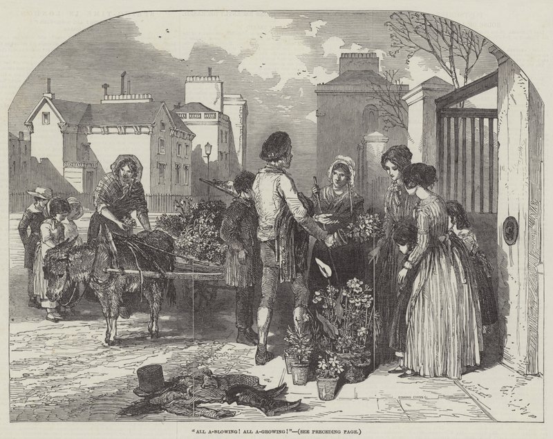 Tutto in fiore! Tutto in crescita! da Myles Birket Foster