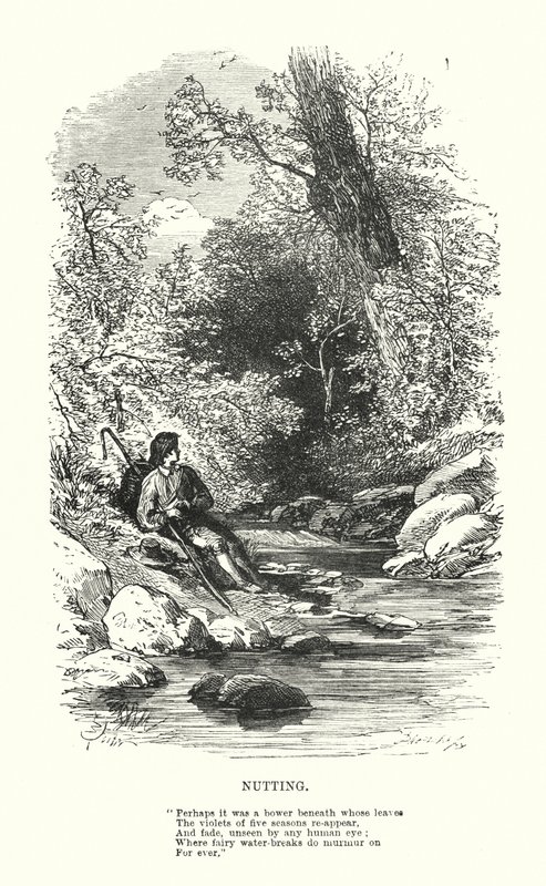 William Wordsworth: Nutting da Myles Birket (after) Foster