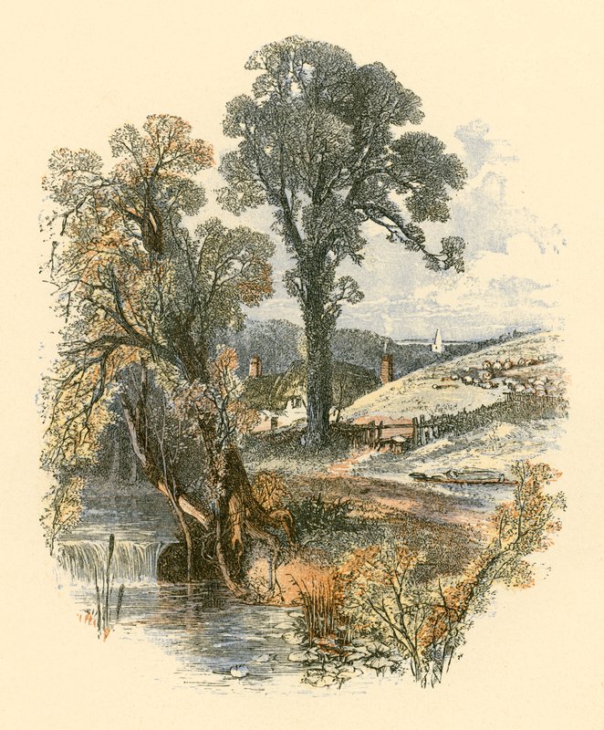 Bellezze della natura da Myles Birket Foster