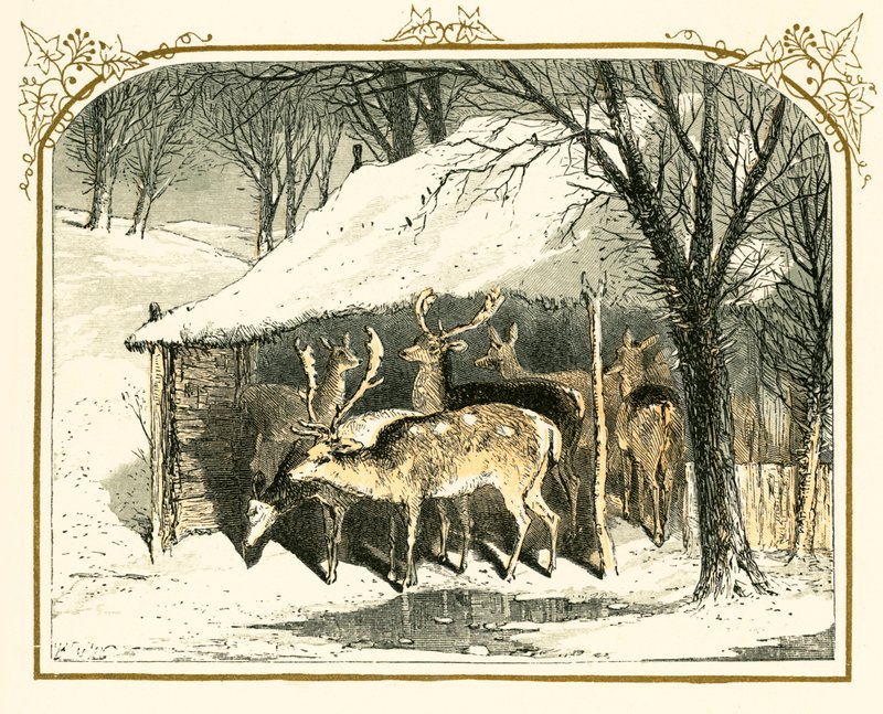 Cervi nella neve da Myles Birket Foster