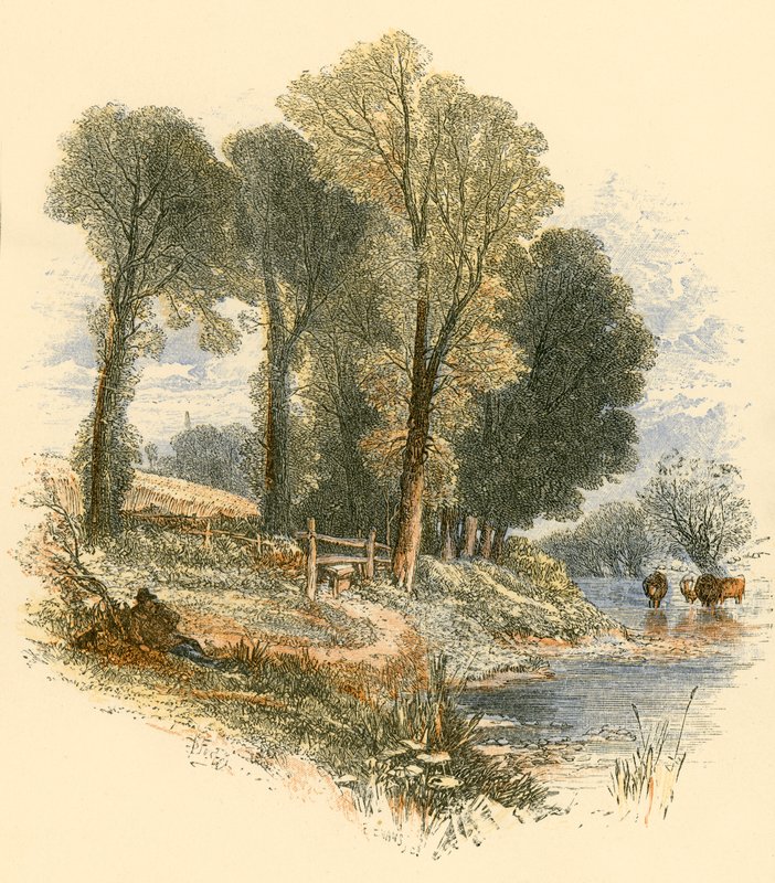 Passeggiate domenicali da Myles Birket Foster