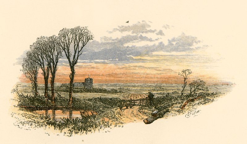 Passeggiata della domenica sera da Myles Birket Foster