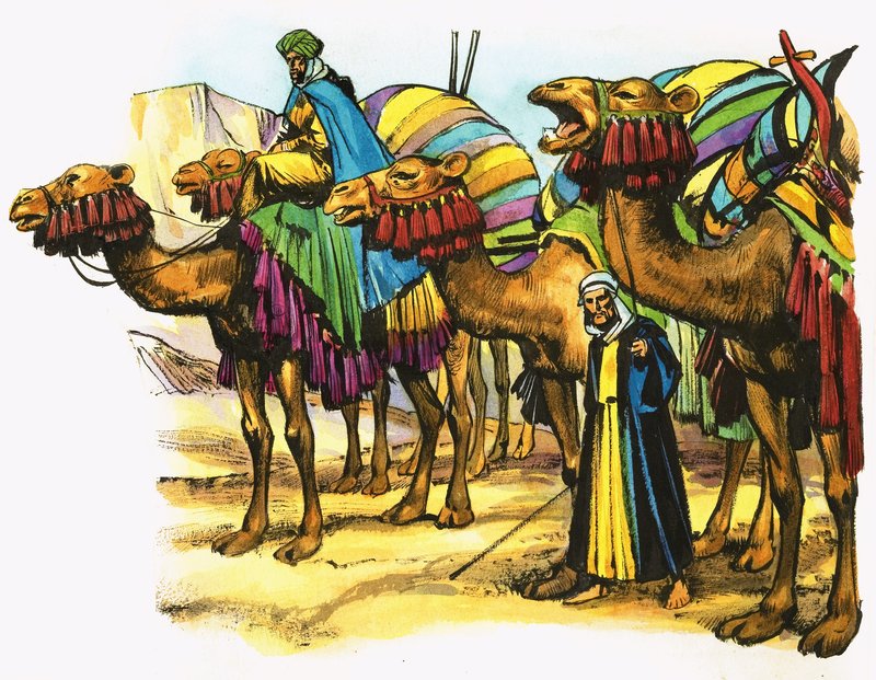 Il treno dei cammelli del Nord Africa da Nadir Quinto