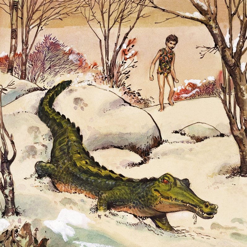 Peter segue il coccodrillo, illustrazione da "Peter Pan" di J.M. Barrie (guazzo su carta) da Nadir Quinto