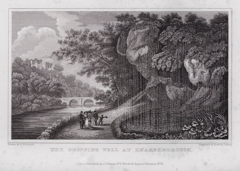 Il Pozzo Gocciolante a Knaresborough (incisione) da Nathaniel (after) Whittock
