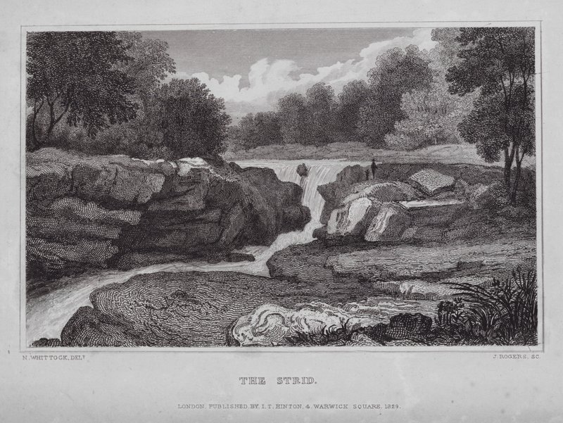 The Strid da Nathaniel (after) Whittock