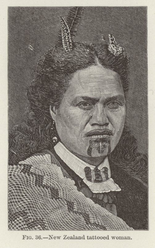 Donna tatuata della Nuova Zelanda da New Zealand School