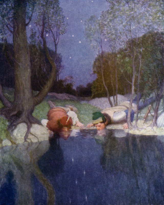 Illustrazione per La Freccia Nera di Robert Louis Stevenson da Newell Convers Wyeth