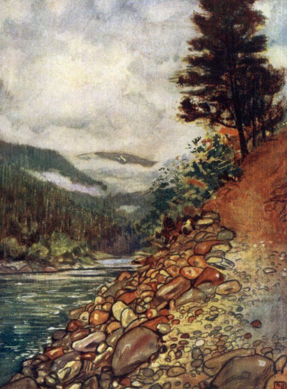 Norvegia: Fiume a Gjora da Nico Jungman