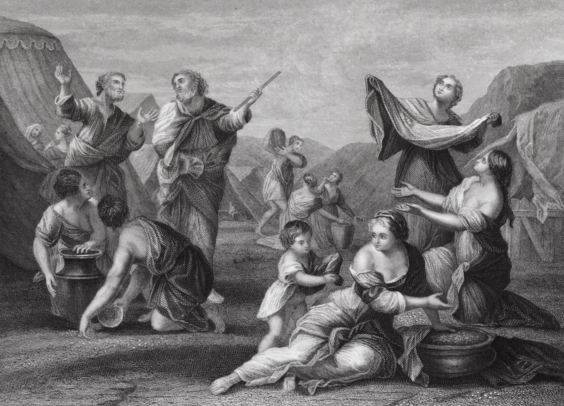 La caduta della manna, Esodo, cap. 16, versetti 14, 24 (incisione) da Nicolas (after) Poussin