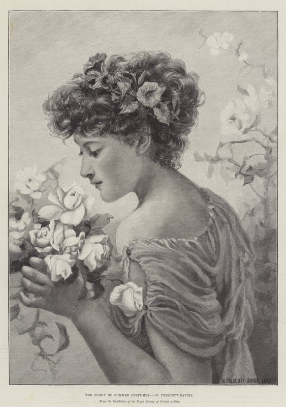 Lo spirito dei profumi estivi da Norman Prescott Davies