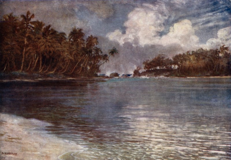 Tra la barriera corallina e la palma da Norman Hardy