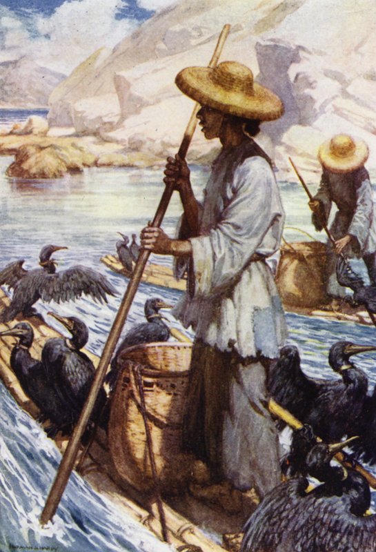 Cina: Pesca con i cormorani da Norman Hardy
