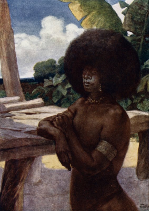 Nativo della Nuova Guinea britannica, mostrando il modo di portare i capelli da Norman Hardy