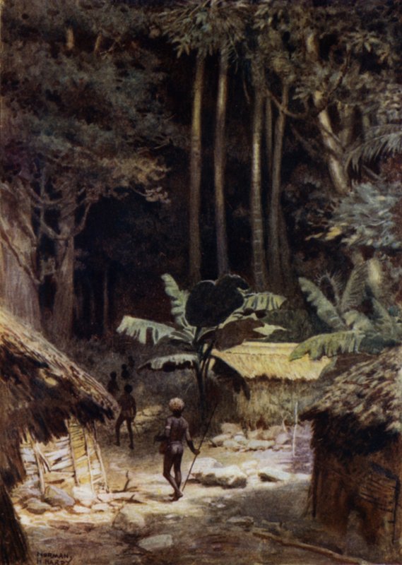 Ai margini di una foresta primordiale, Isole Salomone da Norman Hardy