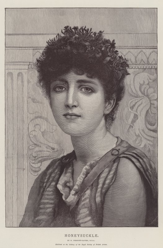 Caprifoglio da Norman Prescott Davies