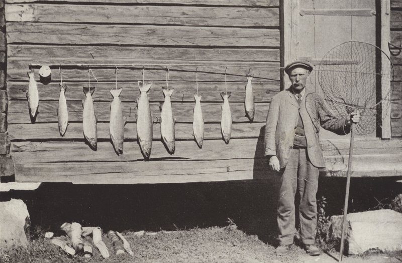 Pesca alla trota da Norwegian Photographer