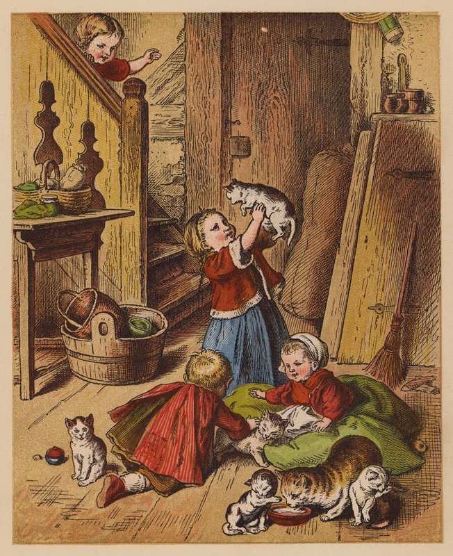 Gattini da Oskar Pletsch