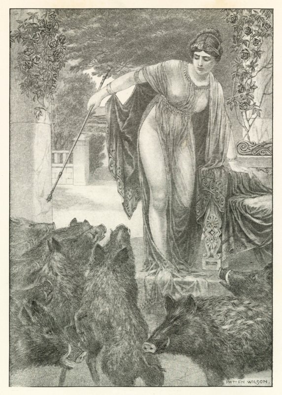 Illustrazione per l