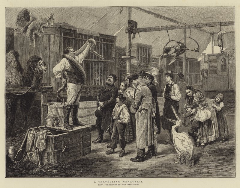 Una menagerie itinerante da Paul Friedrich Meyerheim
