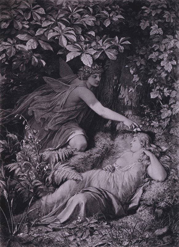 Scena da Sogno di una notte di mezza estate di Shakespeare (Atto IV, Scena 1) da Friedrich Paul Thumann
