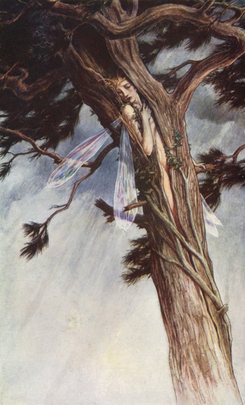 La tempesta di William Shakespeare, Atto I, Scena 2 da Paul Vincent Woodroffe