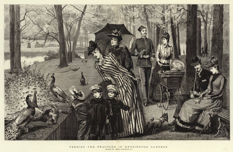 Nutrire i pavoni nei Kensington Gardens da Percy Macquoid