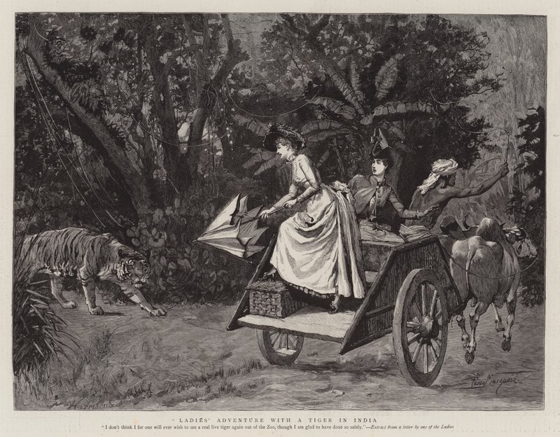 Avventura di signore con una tigre in India da Percy Macquoid