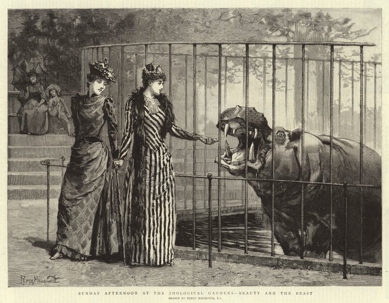 Domenica pomeriggio ai Giardini Zoologici, La Bella e la Bestia da Percy Macquoid